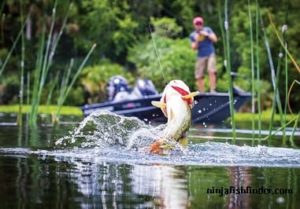 Bass boats Bass boats