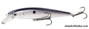 Jerk Bait Jerk Bait