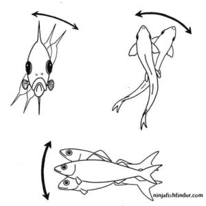 Pitching and flipping Pitching and flipping