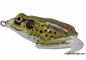 frogs frogs