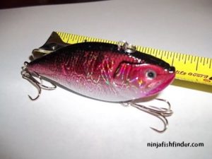 Red Fools the Fish