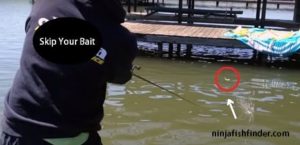 Skip Your Bait Skip Your Bait