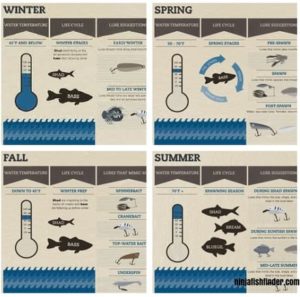 Make your bait seasonal Make your bait seasonal