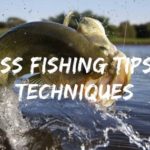 Bass Fishing Tips and Techniques
