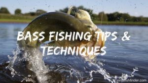 25 Bass Fishing Tips and Techniques From Pro Anglers